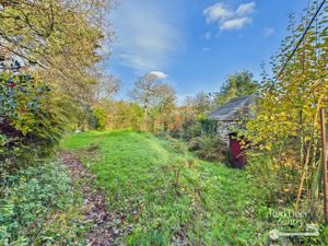 Garden- click for photo gallery